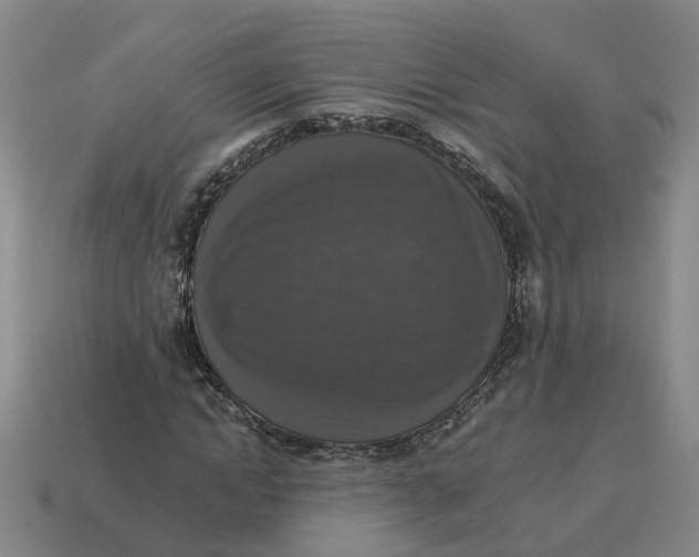 X0000114440822200911061702