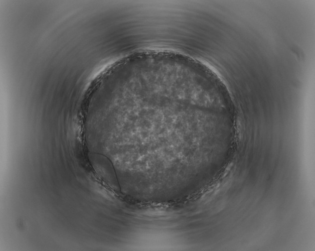 X0000114440823200911061702