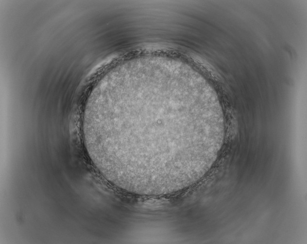 X0000114440824200911061702