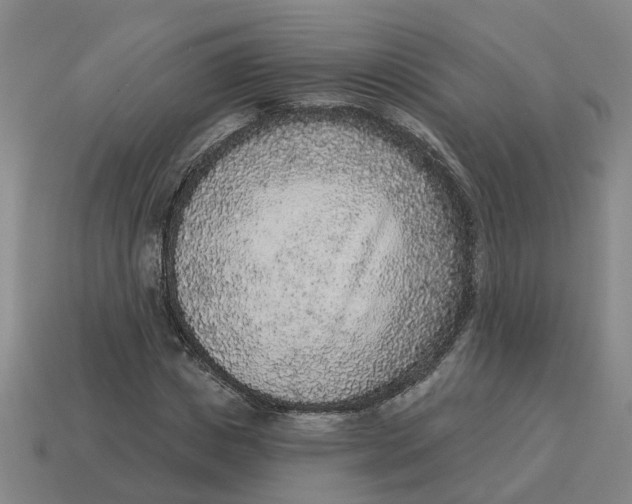 X0000114440825200911061702