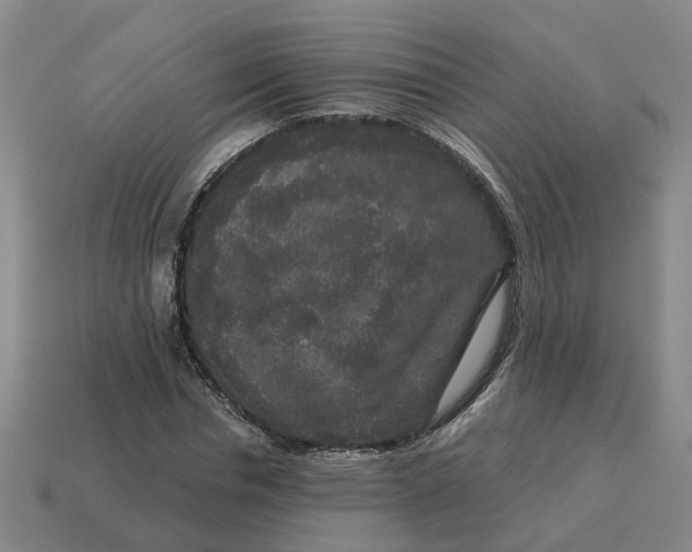 X0000114440826200911061702