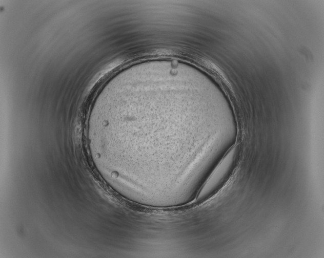 X0000114440827200911061702