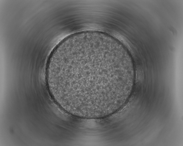 X0000114440828200911061702