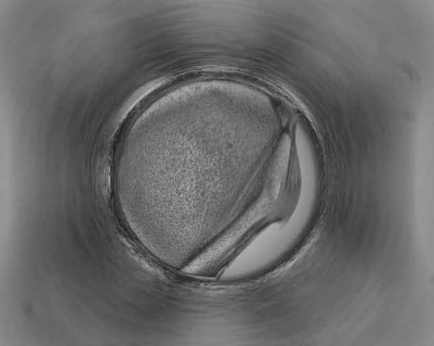 X0000114440829200911061702