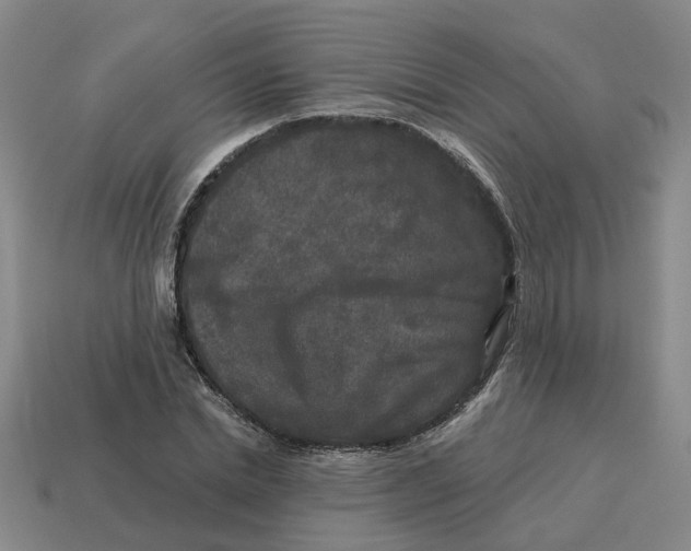 X0000114440830200911061702