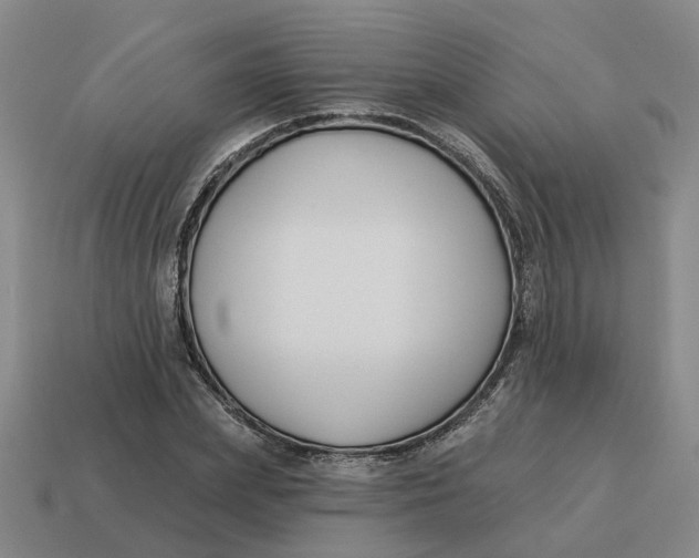 X0000114440831200911061702