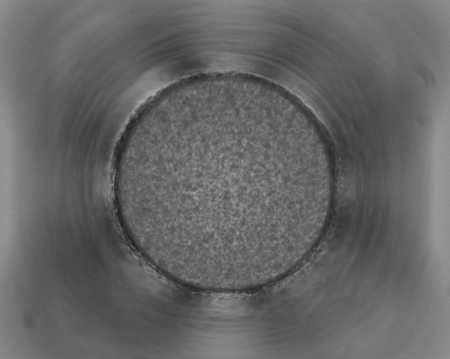 X0000114440832200911061702