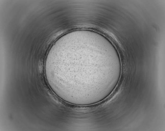 X0000114440833200911061702