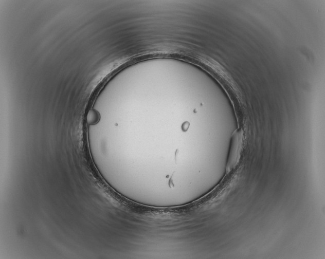 X0000114440834200911061702