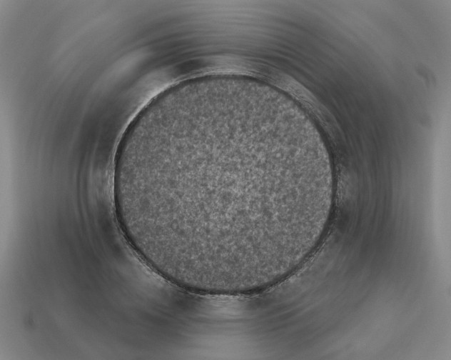 X0000114440836200911061702