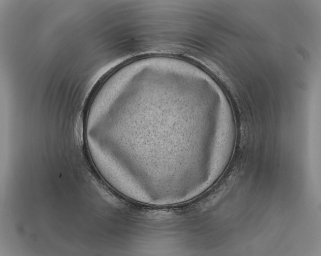 X0000114440838200911061702