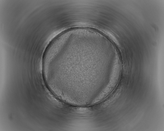 X0000114440839200911061702