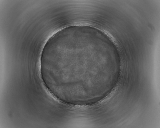 X0000114440840200911061702