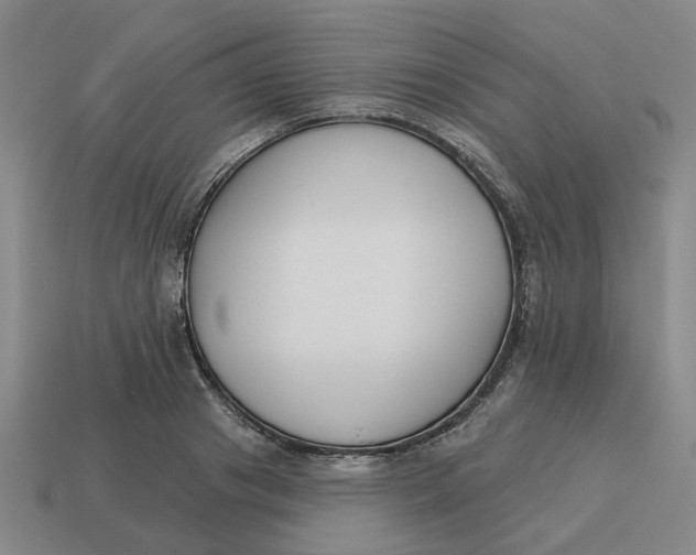 X0000114440841200911061702