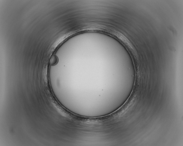 X0000114440842200911061702