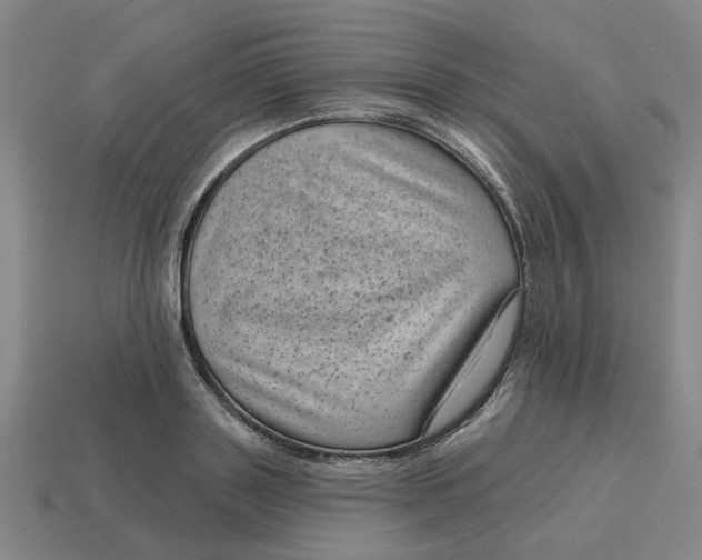 X0000114440843200911061702