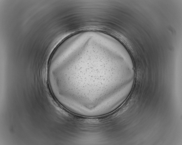 X0000114440844200911061702