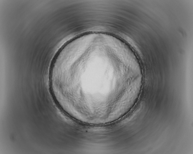 X0000114440845200911061702