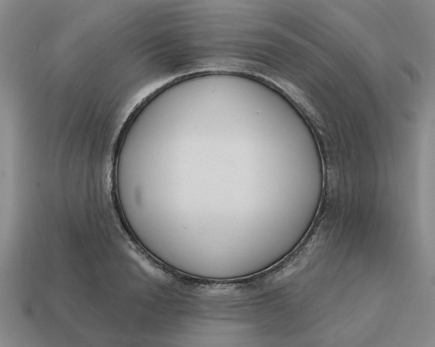 X0000114440846200911061702