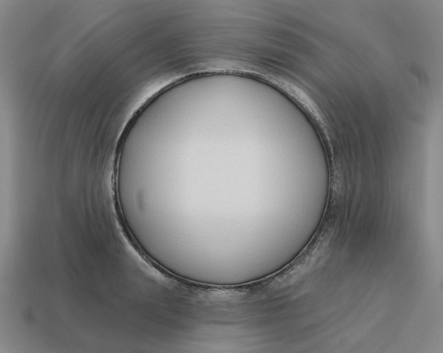 X0000114440847200911061702