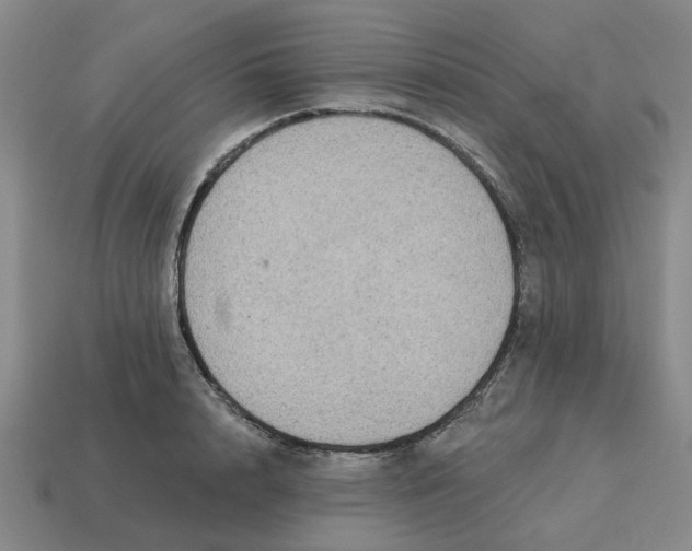 X0000114440848200911061702