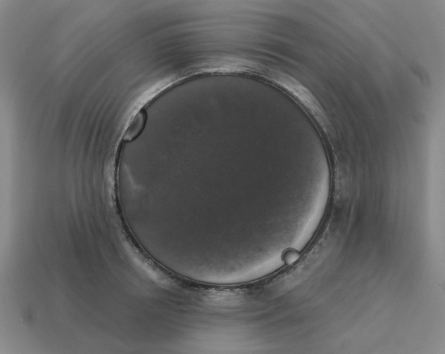 X0000114440850200911061702