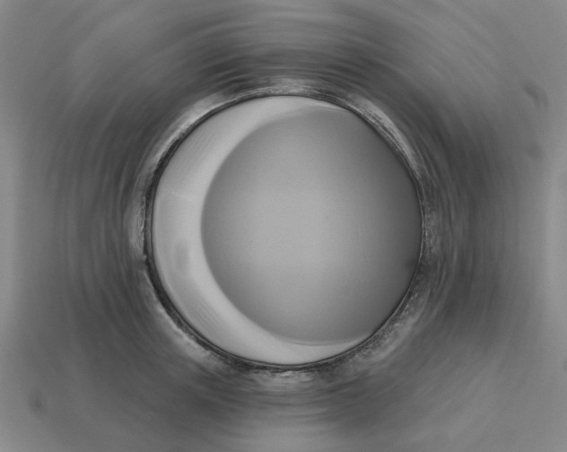 X0000114440851200911061702