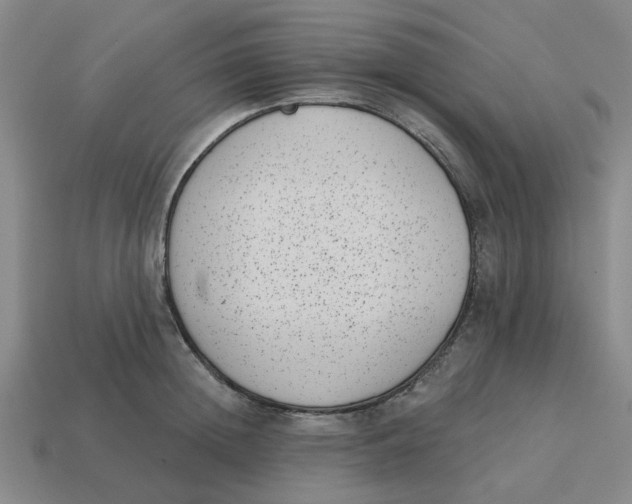 X0000114440852200911061702