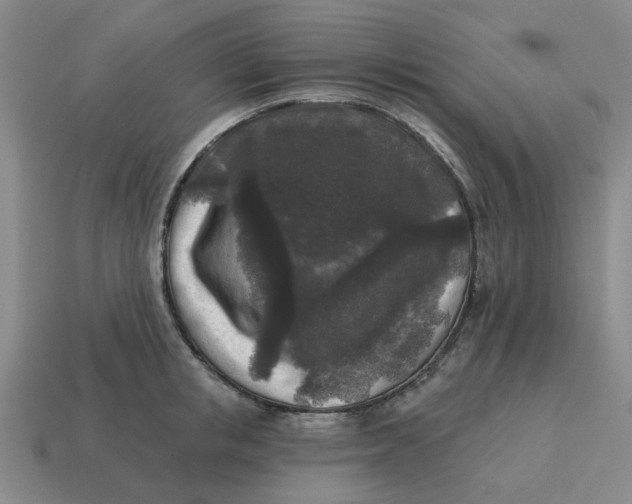 X0000114440853200911061702