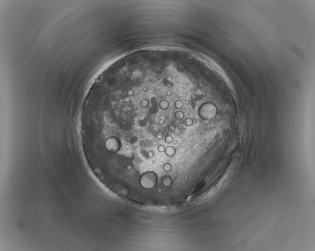 X0000114440855200911061702