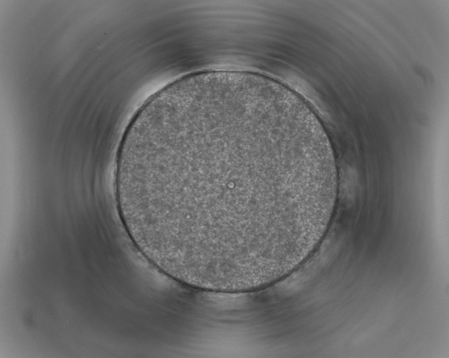 X0000114440856200911061702