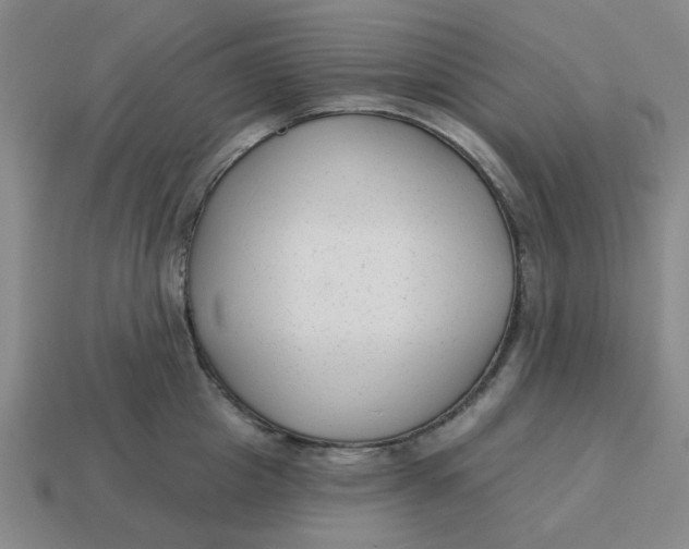 X0000114440857200911061702