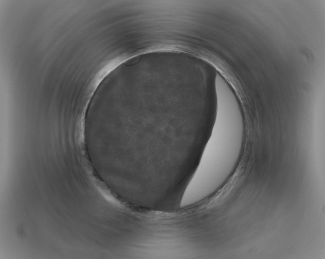 X0000114440858200911061702