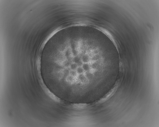 X0000114440859200911061702