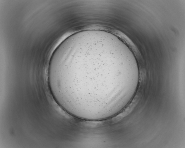 X0000114440860200911061702