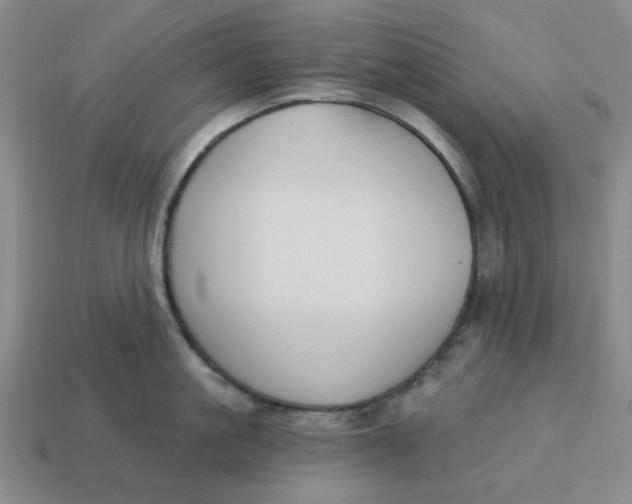 X0000114440861200911061702