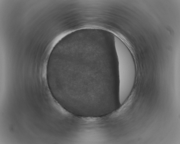 X0000114440862200911061702