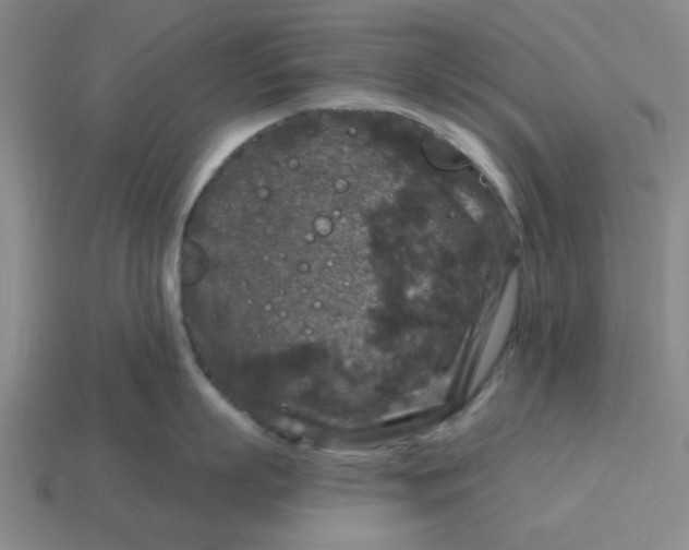 X0000114440863200911061702