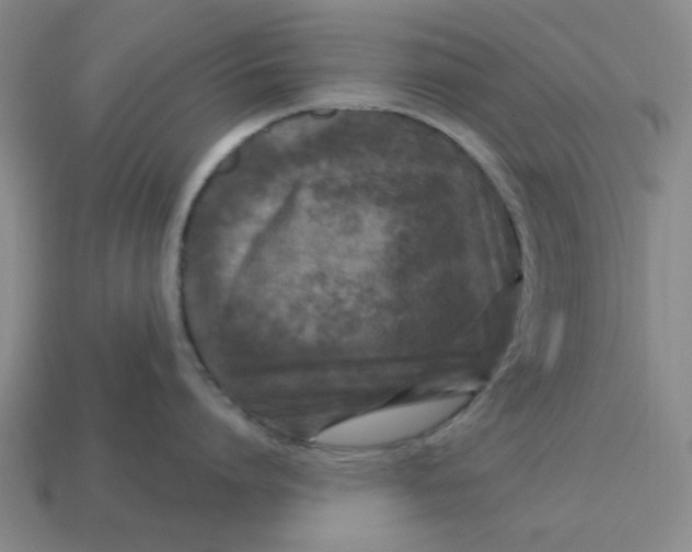 X0000114440864200911061702