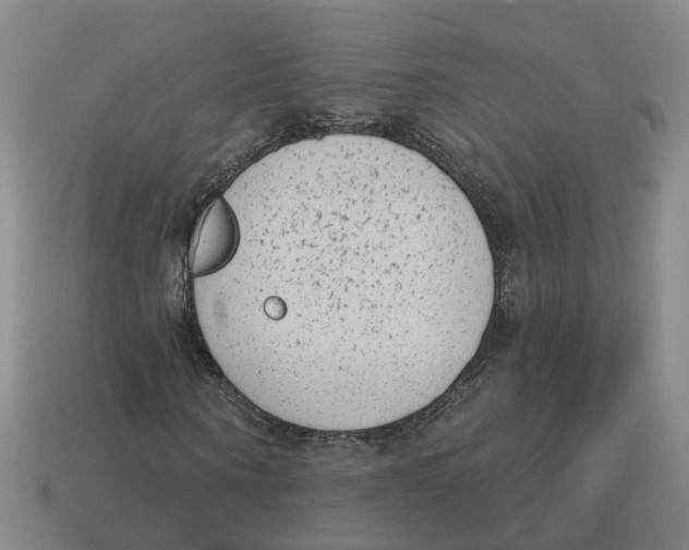 X0000114440866200911061701