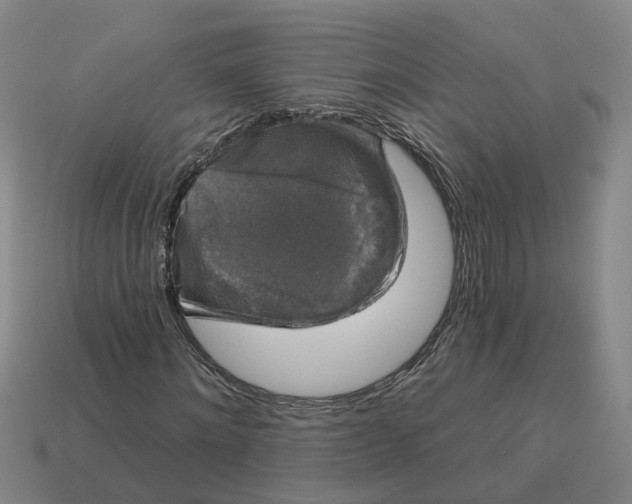 X0000114440868200911061701