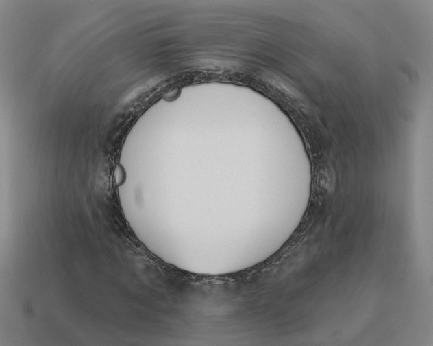 X0000114440869200911061701