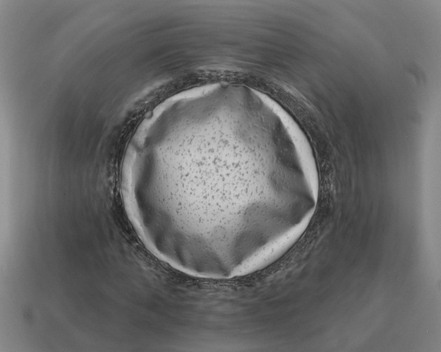 X0000114440870200911061701