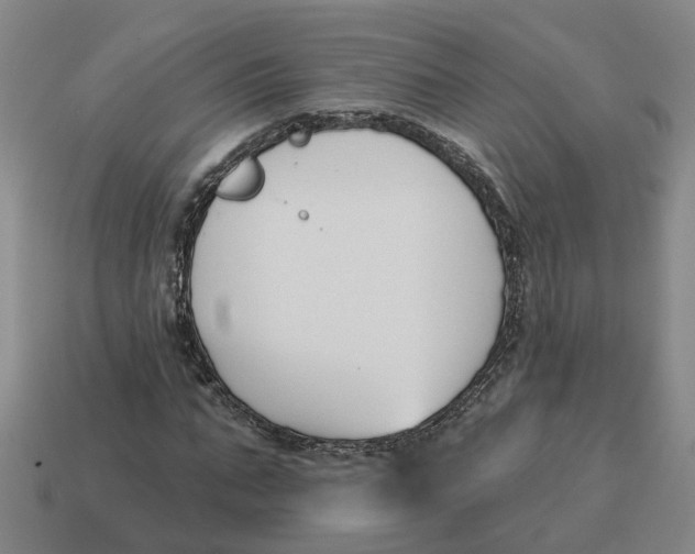 X0000114440871200911061701