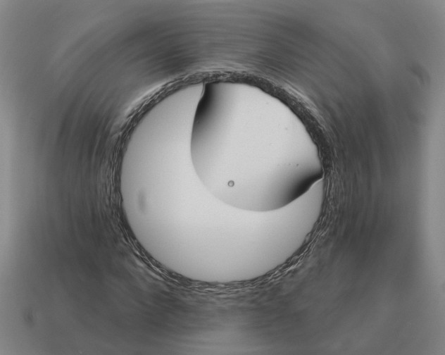 X0000114440872200911061701