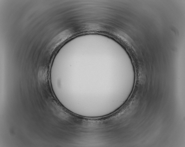 X0000114440873200911061701