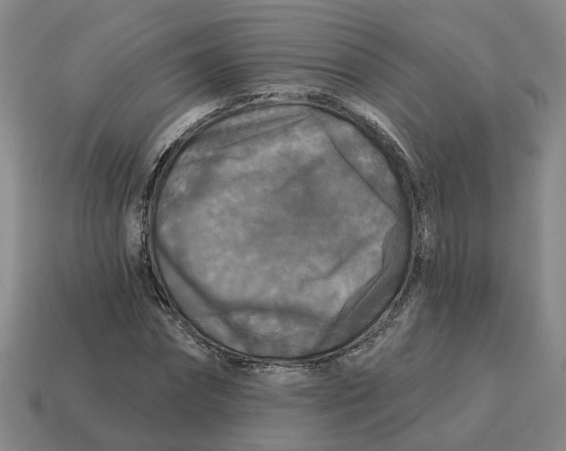 X0000114440874200911061701