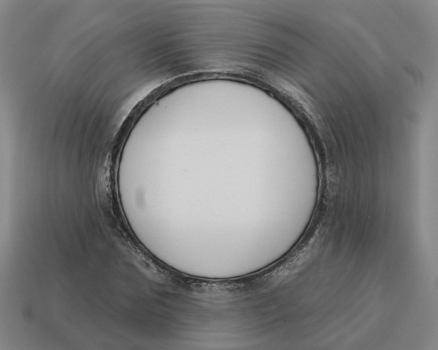 X0000114440875200911061701