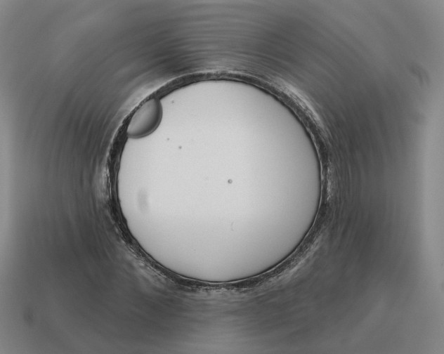 X0000114440876200911061701