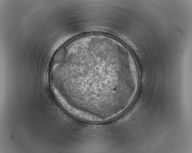 X0000114440877200911061701